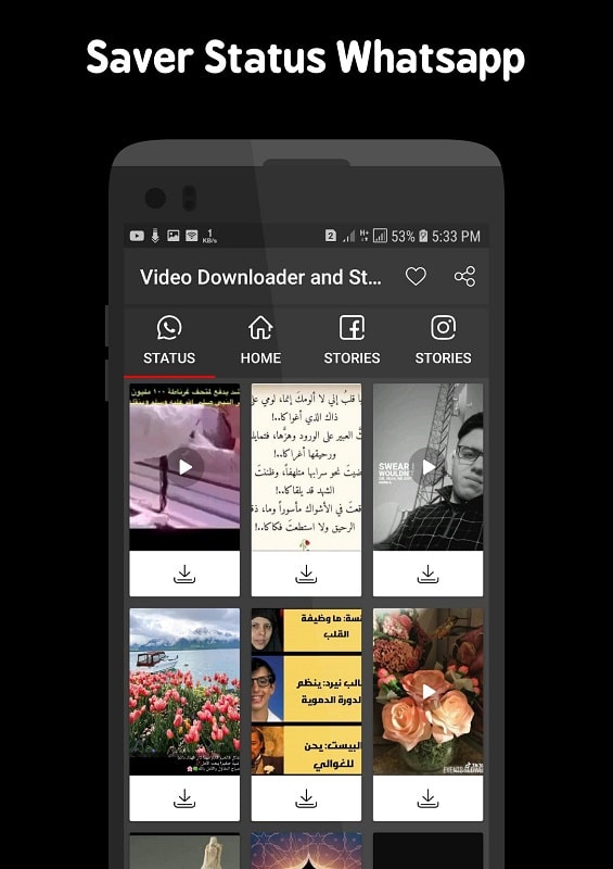 Video Downloader and Stories mod free