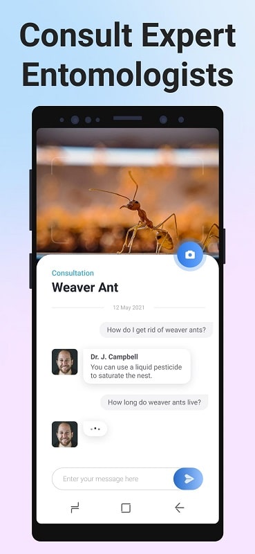 Picture Insect Bug Identifier mod apk free