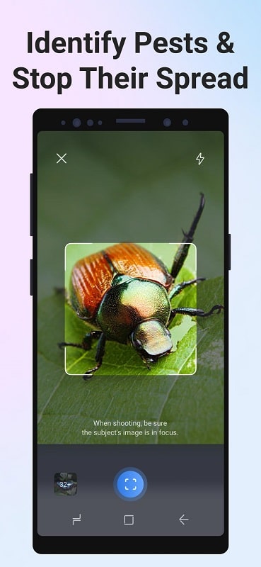 Picture Insect Bug Identifier mod free