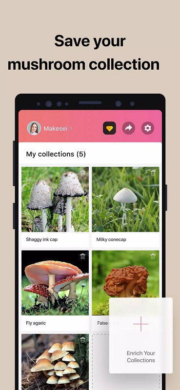 Picture Mushroom mod free