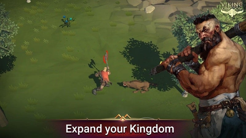 Viking Kingdom Ragnarok Age apk free