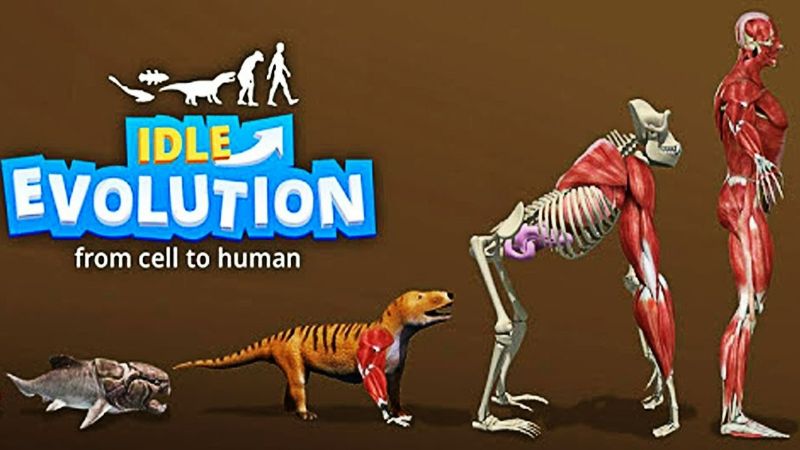 Idle Human Evolution – Apps no Google Play