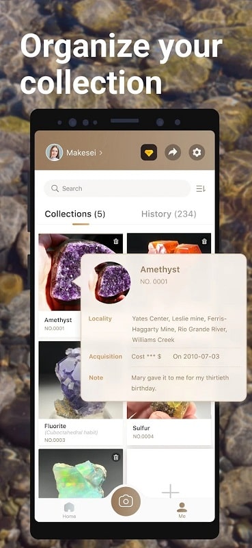 Rock Identifier Stone ID mod android 