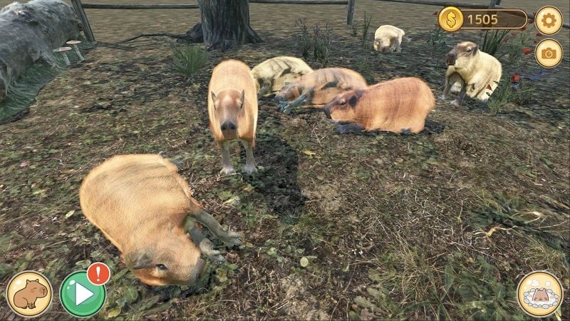 Capybara Zoo free