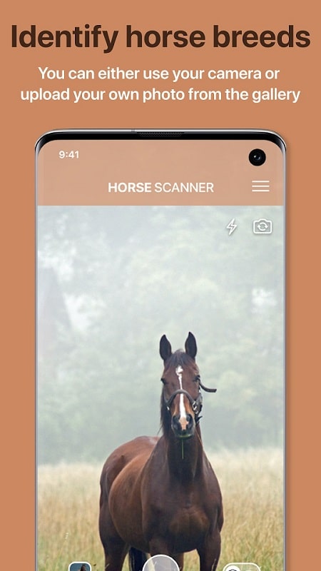 Horse Scanner mod 