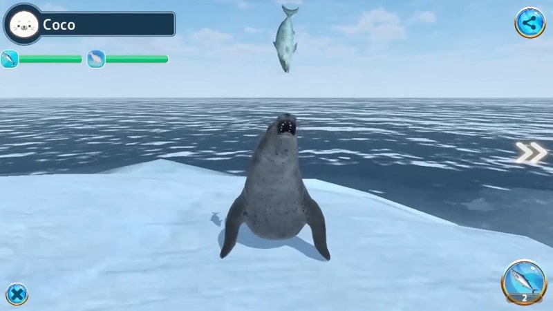 Seal Island mod apk