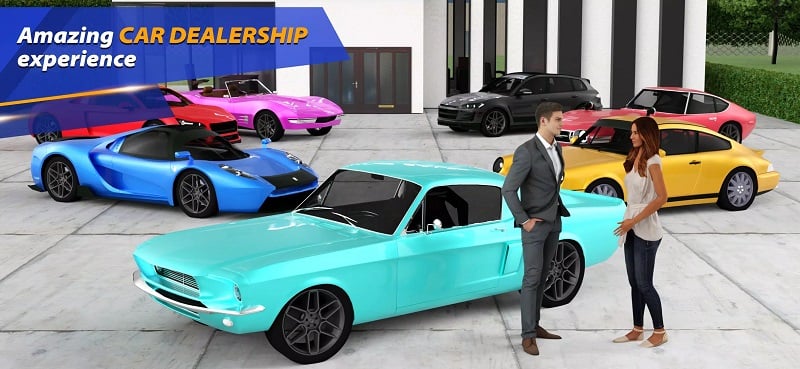 Car Sales Drive Simulator 24 mod