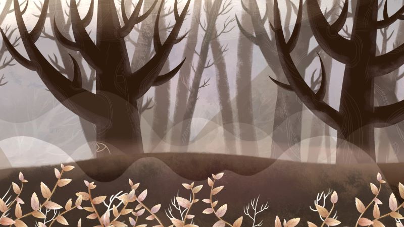Deep in the Woods MOD APK