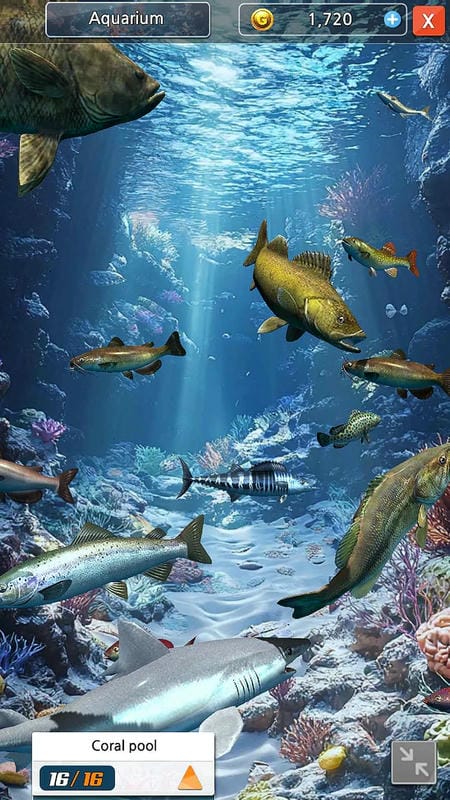 Ocean Fishing King mod android
