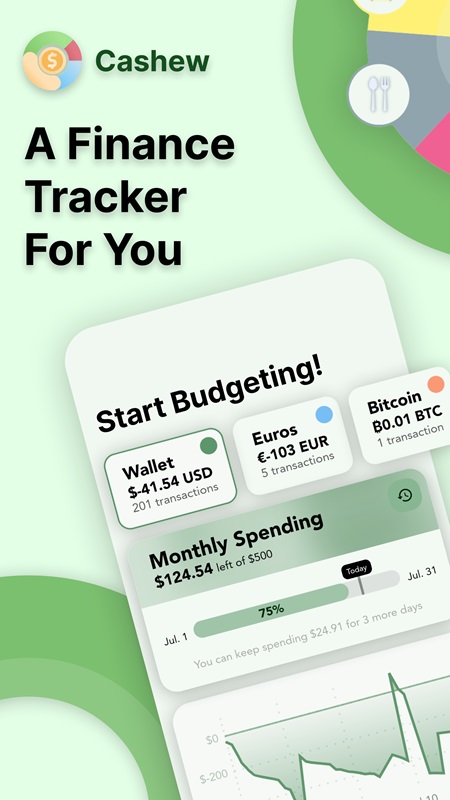 Record all daily spending data in Cashew MOD APK