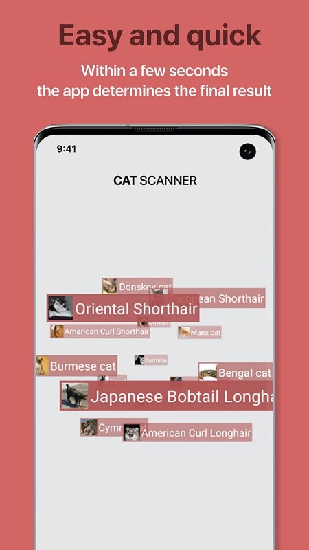 Cat Scanner mod apk