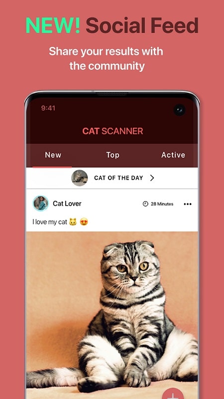 Cat Scanner mod free