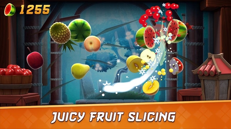 Fruit Ninja 2 mod