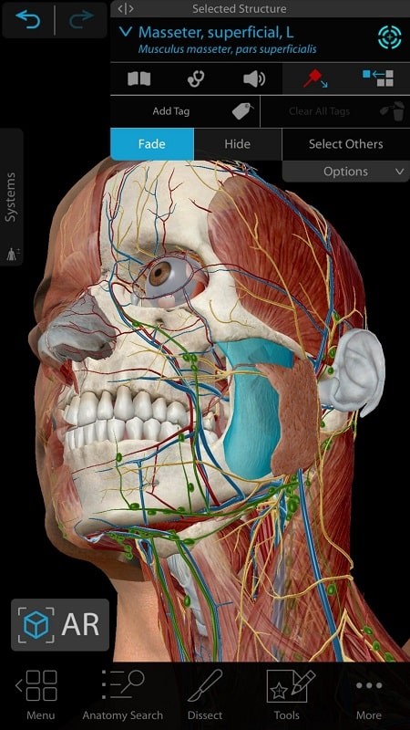 Human Anatomy Atlas 2021 mod