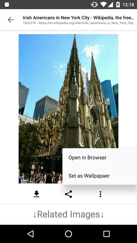 Image Search ImageSearchMan mod free