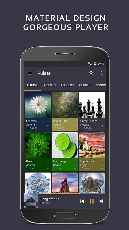 Pulsar Music Player Pro mod