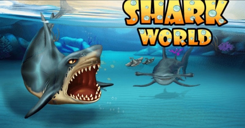 Shark World