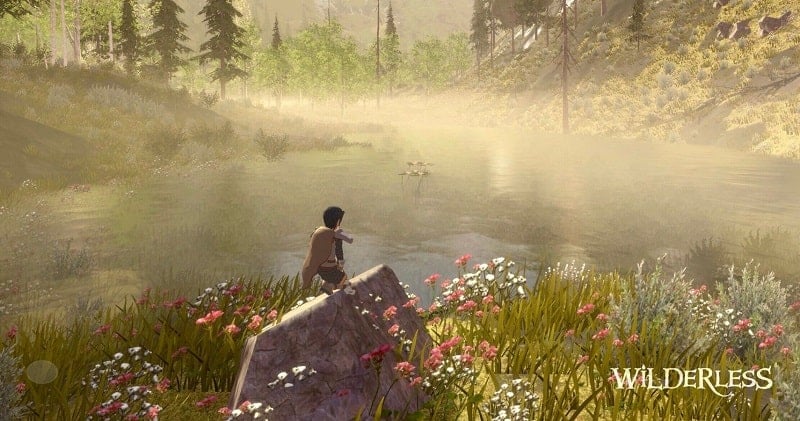 Wilderless mod apk