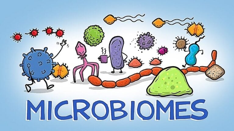 Download World of Microbes MOD APK 0.2.15 (Unlimited money/Unlocked)