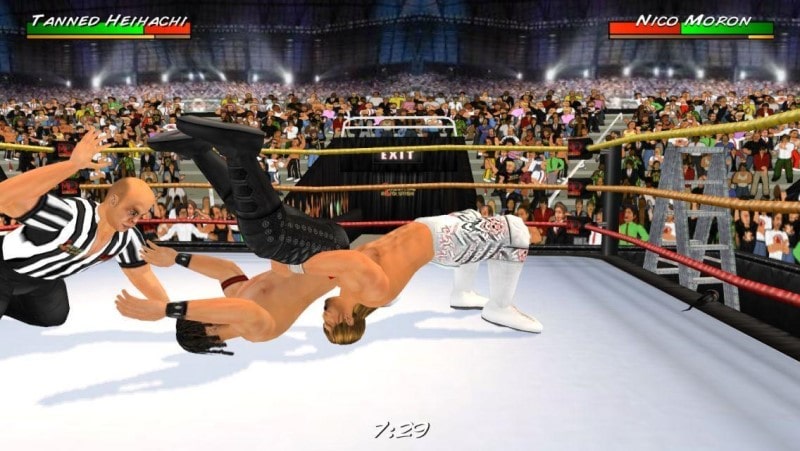 Wrestling Revolution 3D akp