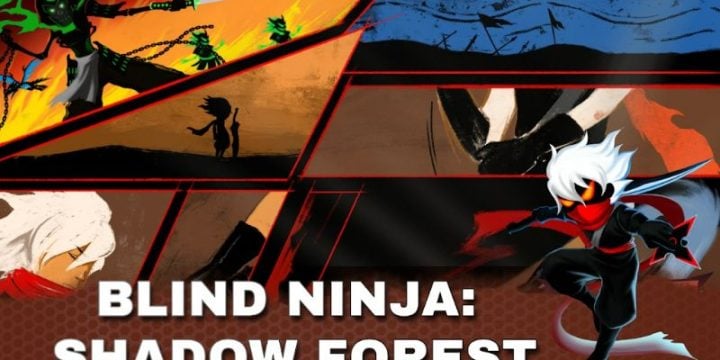 Blind Ninja Shadow Forest