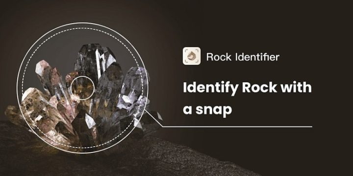 Rock Identifier Stone ID-