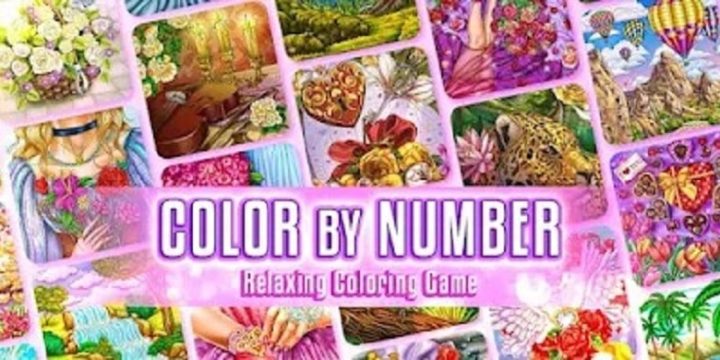 Color By Number For Adults-