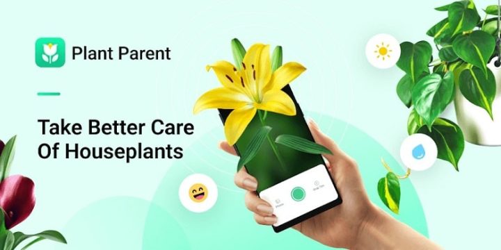 Plant Parent-