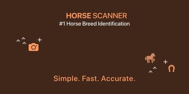 Horse Scanner-