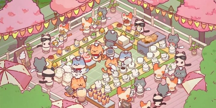 Cat Restaurant