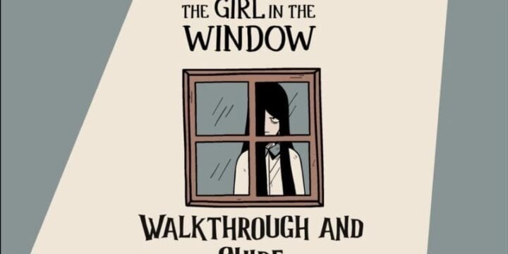 The Girl in the Window