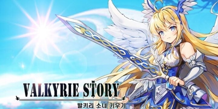 Valkyrie Story