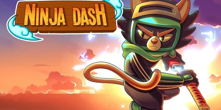 Ninja Dash Run