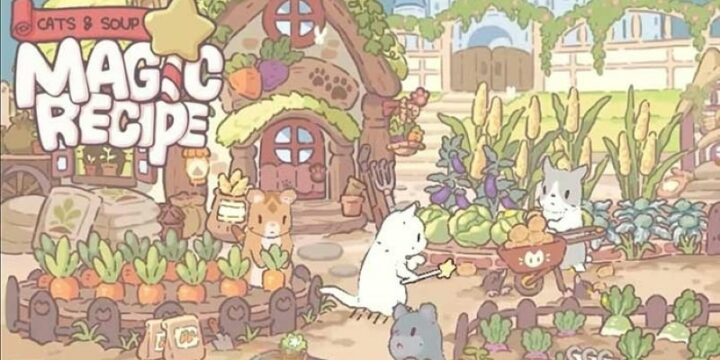 Cats Soup Magic Recipe