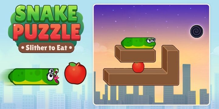 Snake Puzzle