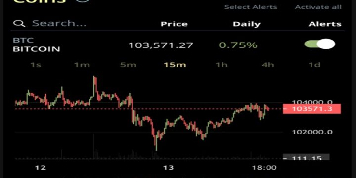 Coin Push