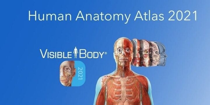 Human Anatomy Atlas 2021