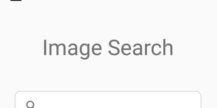 Image Search - ImageSearchMan