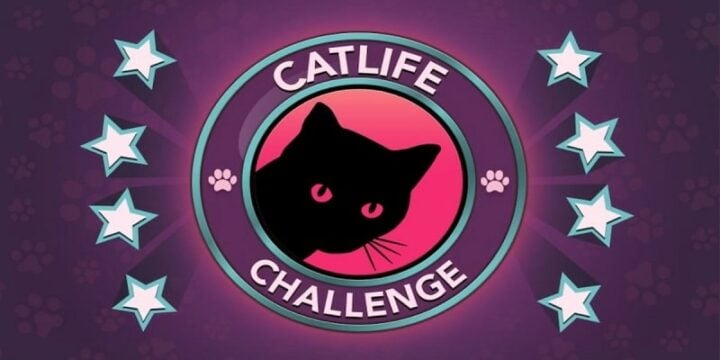 CatLife BitLife Cats