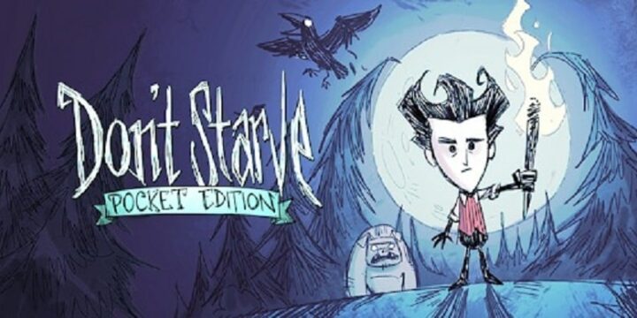 Don't Starve Pocket Edition android