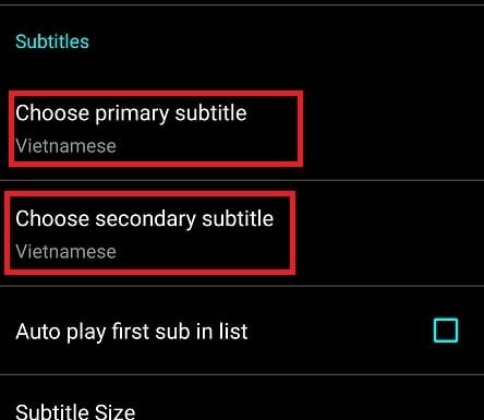 setting subtitles netflix android